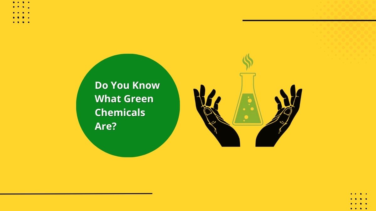 Do You Know What Green Chemicals Are