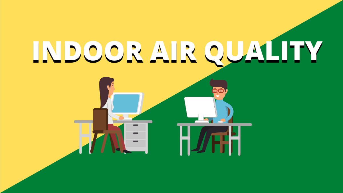 5-easy-ways-to-improve-indoor-air-quality