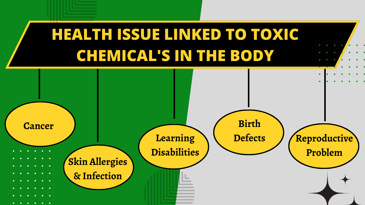 5 Harmful Toxic Chemicals in Cleaning Products