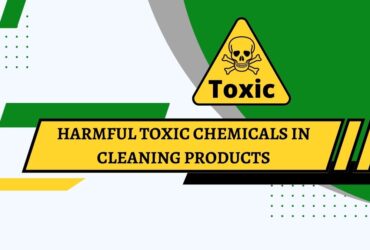 Chemicals In Cleaning Products