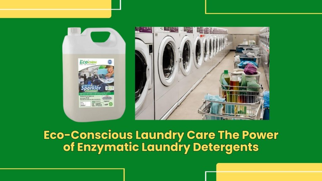 Eco-Conscious Laundry Care The Power of Enzymatic Laundry Detergents ...