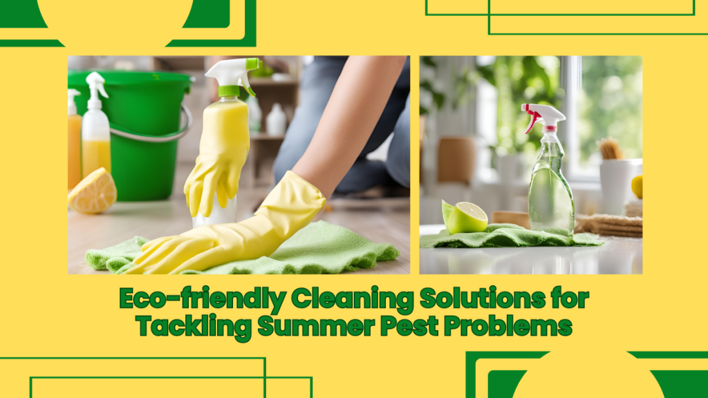 Eco-friendly Cleaning Solutions for Tackling Summer Pest Problems » Ecochem