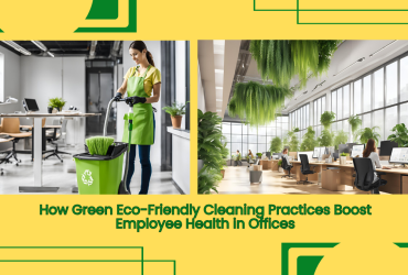 How Green Eco-Friendly Cleaning Practices Boost Employee Health In Offices