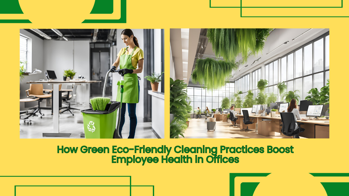 How Green Eco-Friendly Cleaning Practices Boost Employee Health In Offices