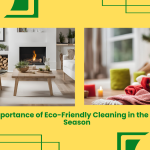 The Importance Of Eco-Friendly Cleaning In The Holiday Season