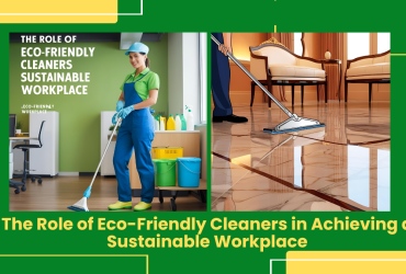 Eco-Friendly Cleaners