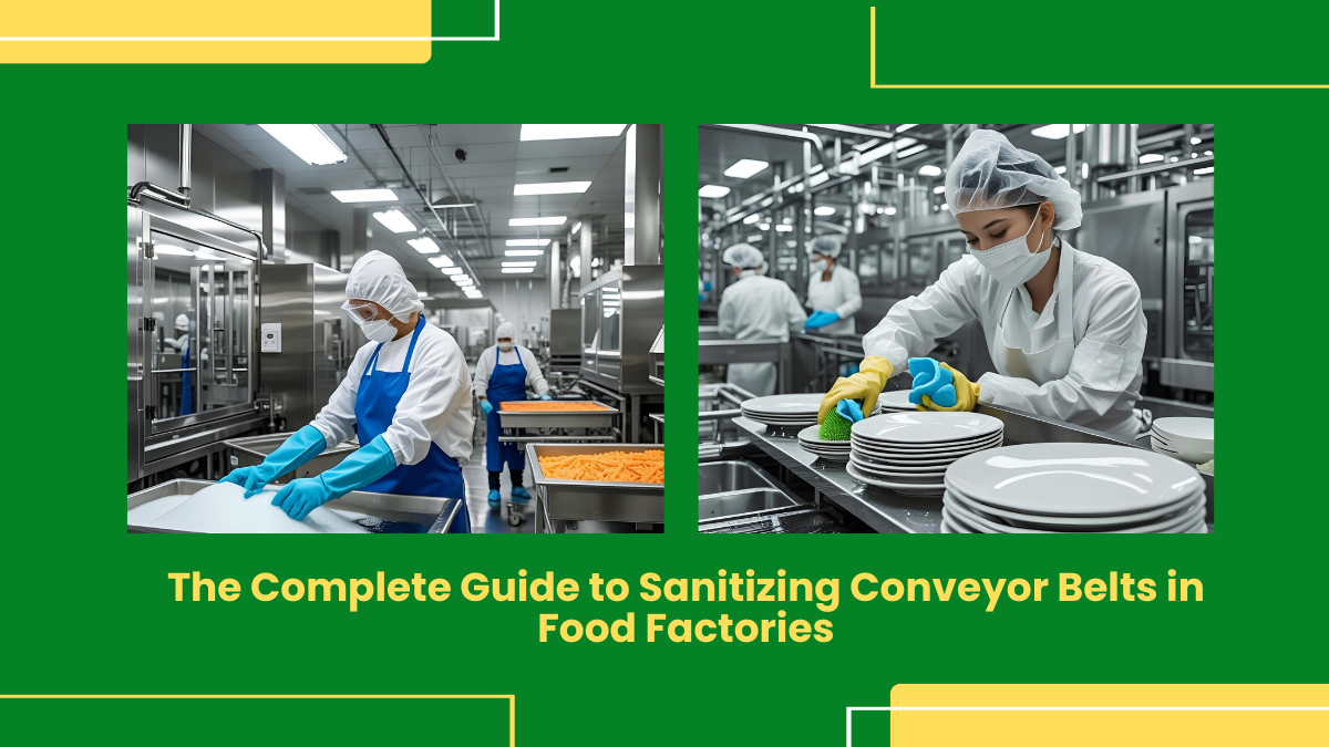 Sanitizing Conveyor Belts