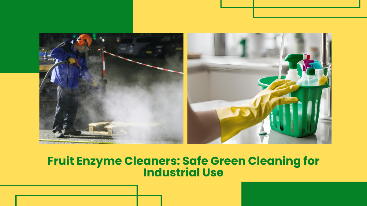 Fruit Enzyme Cleaners