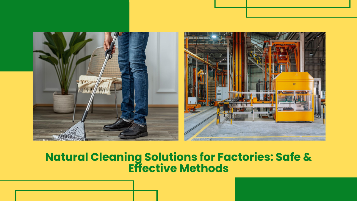 Natural Cleaning Solutions