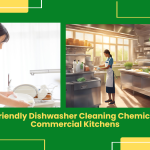 Dishwasher Cleaning Chemicals