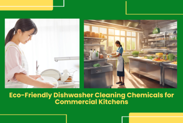 Dishwasher Cleaning Chemicals