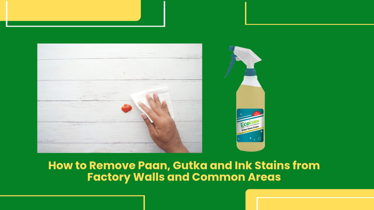 Paan